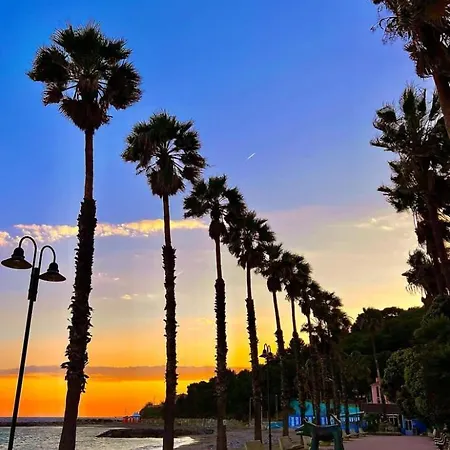 Blue Paradise